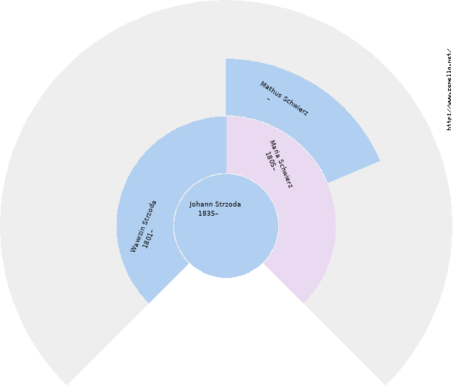 Fächerdiagramm von Johann Strzoda