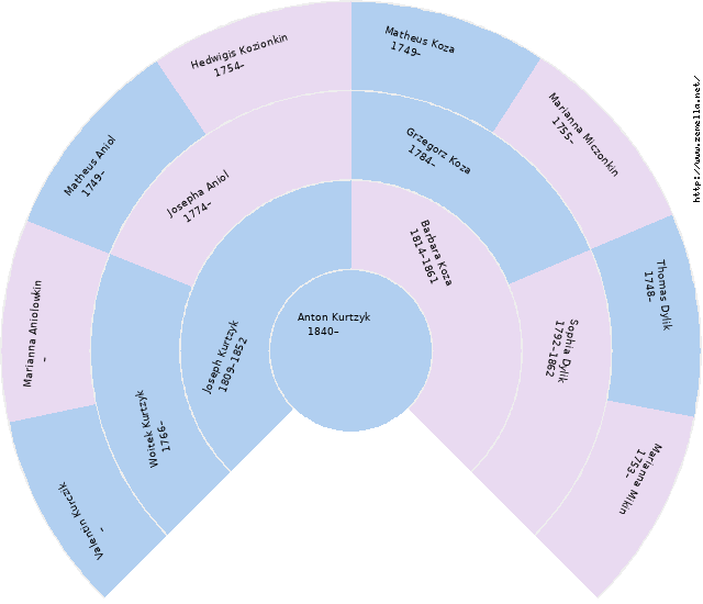 Fächerdiagramm von Anton Kurtzyk